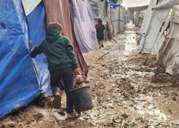 UNICEF: Gaza Sanitation Collapse Becomes Severe Public-Health Catastrophe