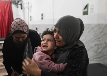 GMO: Israel Violated Gaza Truce Nearly 500 Times in 44 Days