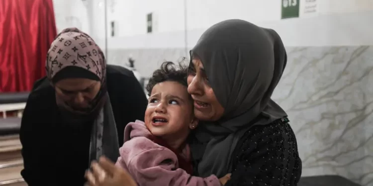 GMO: Israel Violated Gaza Truce Nearly 500 Times in 44 Days