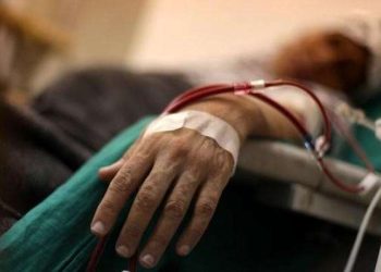 Gaza’s Kidney Patients Face Slow Death as Drug Shortages Deepen