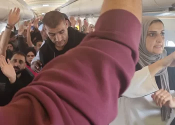 Israel Using Obscure NGO to Remove Palestinians from Gaza