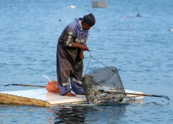 Israeli Navy Arrests Four Fishermen Off Gaza Coast