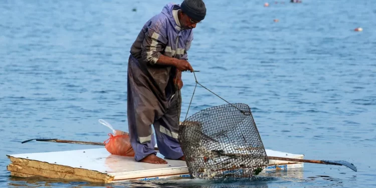 Israeli Navy Arrests Four Fishermen Off Gaza Coast