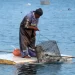 Israeli Navy Arrests Four Fishermen Off Gaza Coast