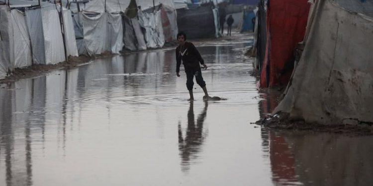 Gaza’s Scale of Disaster “Huge” As Trickle of Shelter Supplies Entered Since Ceasefire 