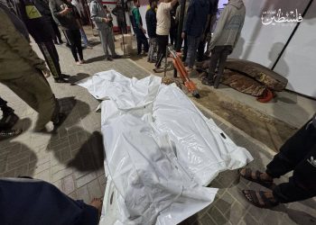 Israel Kills Seven in Gaza and Limits Rafah Crossing to Outbound Travel
