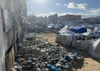 Gaza’s Displaced Families Struggle with Disease, Bombing and Despair