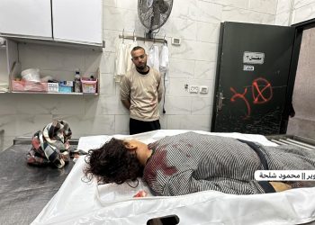 Death Toll from Israeli Ceasefire Violations in Gaza Rises to 15 Martyrs Since Thursday Morning