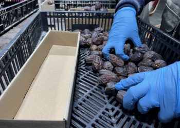 Israeli Dates Sold in Europe Under Misleading Labels
