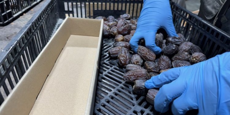 Israeli Dates Sold in Europe Under Misleading Labels