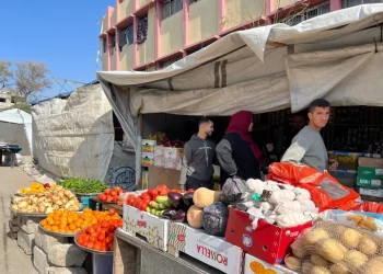 In Gaza, Even Money Is Under Siege: Cash, Credit, or Digital — All Come at a Cost
