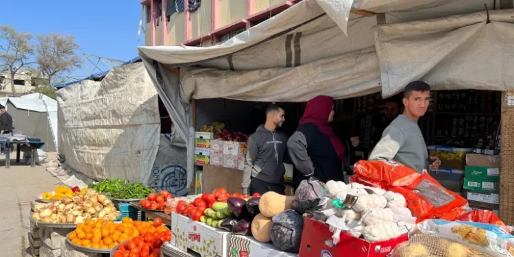 In Gaza, Even Money Is Under Siege: Cash, Credit, or Digital — All Come at a Cost
