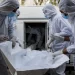 Israel Withholding Bodies of at Least 766 Identified Palestinians