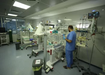Amnesty: Gaza War Devastates Reproductive Healthcare