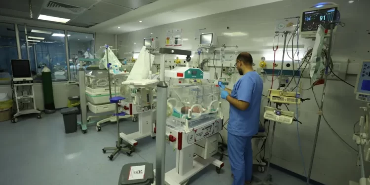 Amnesty: Gaza War Devastates Reproductive Healthcare