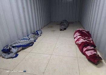 Three Women Killed, Including Journalist and Child, in Israeli Shelling in Gaza