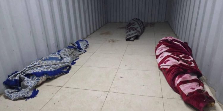 Three Women Killed, Including Journalist and Child, in Israeli Shelling in Gaza