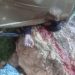 Palestinian Worker Killed, Many Injured in Israeli Pursuit Near Hebron