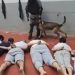 Deadly Conditions Reported in Israel’s Ofer Prison