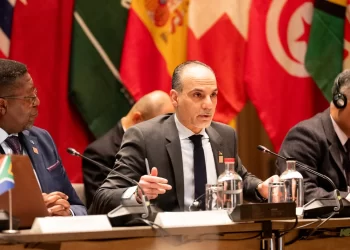 40 Nations Convene in The Hague to Counter Israel’s West Bank Annexation