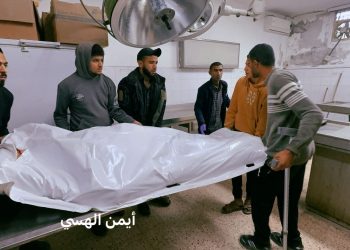IOF Kills 5 Palestinians in Fresh Gaza Truce Violations
