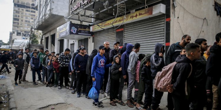 Gaza: A Life Defined by Endless Lines