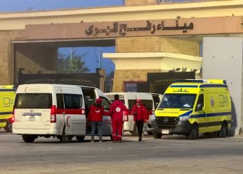 WHO Halts Gaza Medical Evacuations After Staff Member Killed