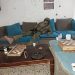 Haaretz: Israeli Soldiers Loot Civilian Property From Southern Lebanon