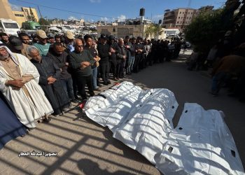 Gaza Death Toll Since Ceasefire Rises to 890 Amid Ongoing Israeli Attacks