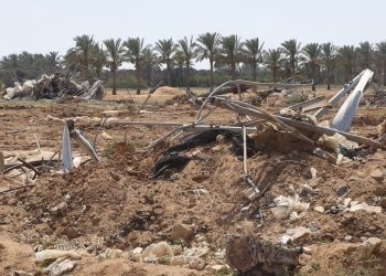 Local Study: 86% of Gaza’s Agricultural Land Damaged