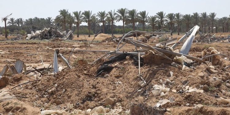 Local Study: 86% of Gaza’s Agricultural Land Damaged