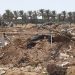 Local Study: 86% of Gaza’s Agricultural Land Damaged