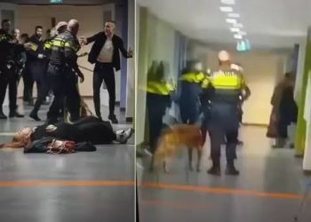 Dutch Police Dragging Pregnant Draws Decry over Mistreatment of Palestinian Refugees