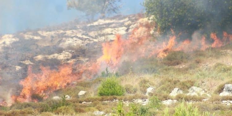 Settlers Burn Crops, Damage Farmland in Nablus, Ramallah