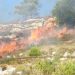 Settlers Burn Crops, Damage Farmland in Nablus, Ramallah