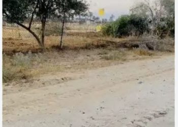 Israel’s Yellow Blocks Creep Westward in Deir Al-Balah, Seizing More Lands