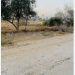 Israel’s Yellow Blocks Creep Westward in Deir Al-Balah, Seizing More Lands
