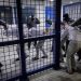 Palestinian Detainee Dies in Israeli Custody After 24 Years of Torture