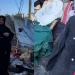 Israel Kills Palestinian Groom Hours Before His Wedding Ceremony In Khan Younis