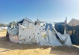 No Escape from Heat: Gaza’s Displaced Endure Another Summer Without Fans, Power or Relief