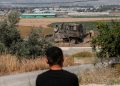 Zabuba’s Ancient Olive Groves Face Erasure by Israeli Bulldozers