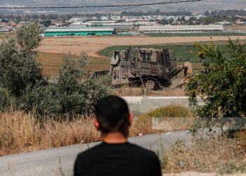 Zabuba’s Ancient Olive Groves Face Erasure by Israeli Bulldozers 
