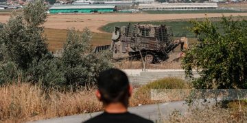Zabuba’s Ancient Olive Groves Face Erasure by Israeli Bulldozers 