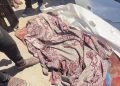 Rescue Teams Recover Remains of 99 Victims from Rubble in Gaza City