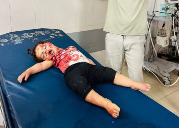 Eight Palestinians Killed, 26 Injured in Latest Israeli Attacks on Gaza