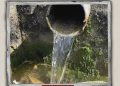 Israeli Settlers Poison Palestinian Water Well in West Bank