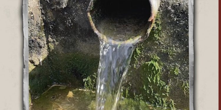 Israeli Settlers Poison Palestinian Water Well in West Bank