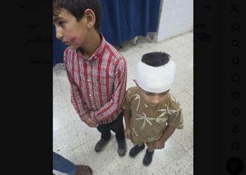 Two Palestinian Children Injured in West Bank Settler Stone-Throwing Attack