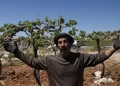 Israel Orders Seizure of Palestinian Land in West Bank to Expand Settler Road