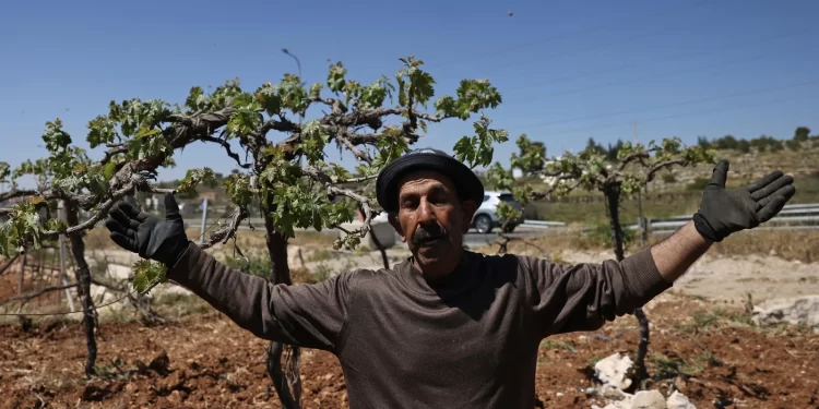 Israel Orders Seizure of Palestinian Land in West Bank to Expand Settler Road